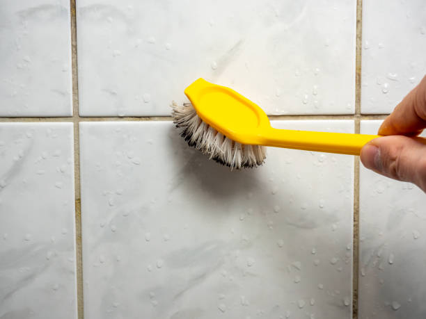 Best Mold Damage Repair  in Dortches, NC