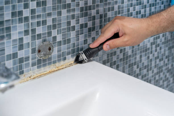 Best Mold Cleaning Services  in Dortches, NC