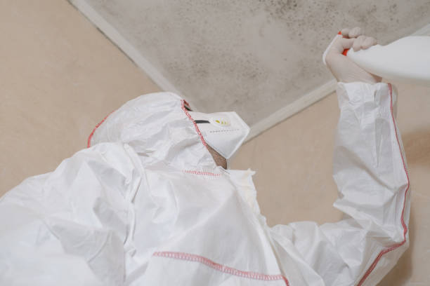 Mold Testing and Removal in Dortches, NC