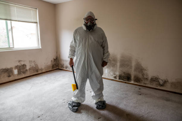 Best Residential Mold Removal  in Dortches, NC